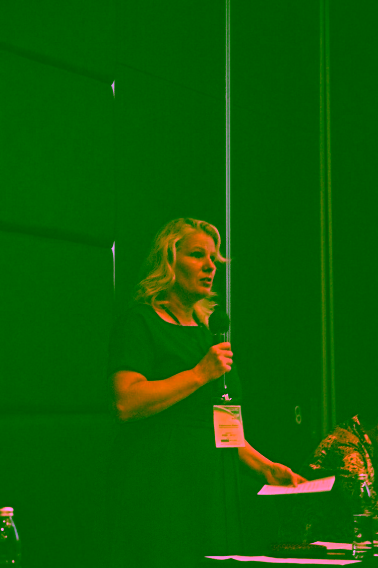 Rodica at Conference